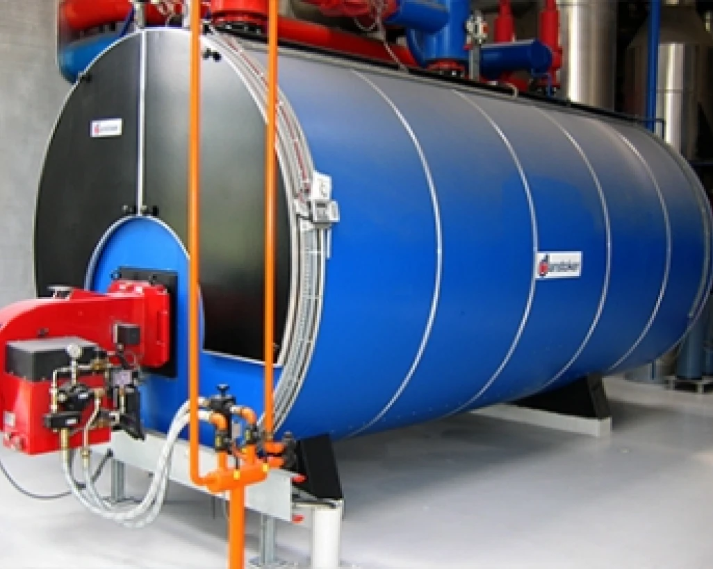 Jfb Conseil Chaudiere Industrielle Danstoker A Saint Saturnin Chaudiere Fioul Et Gaz